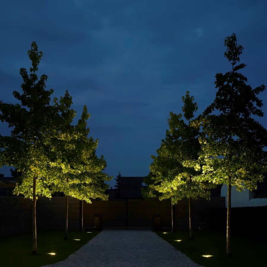 IG02 adjustable in-ground lights used for focused landscape accents