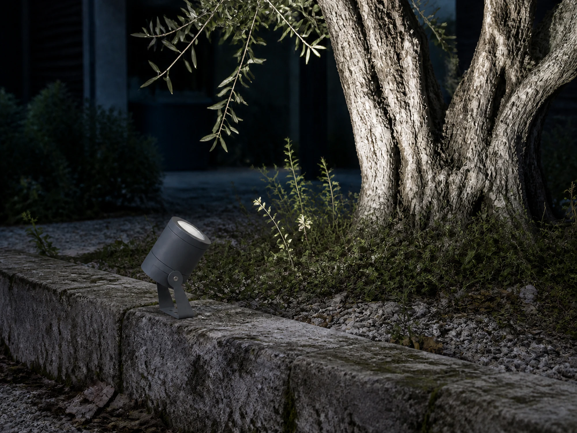 PJ04-12W projector illuminating a mature tree in a stone landscape