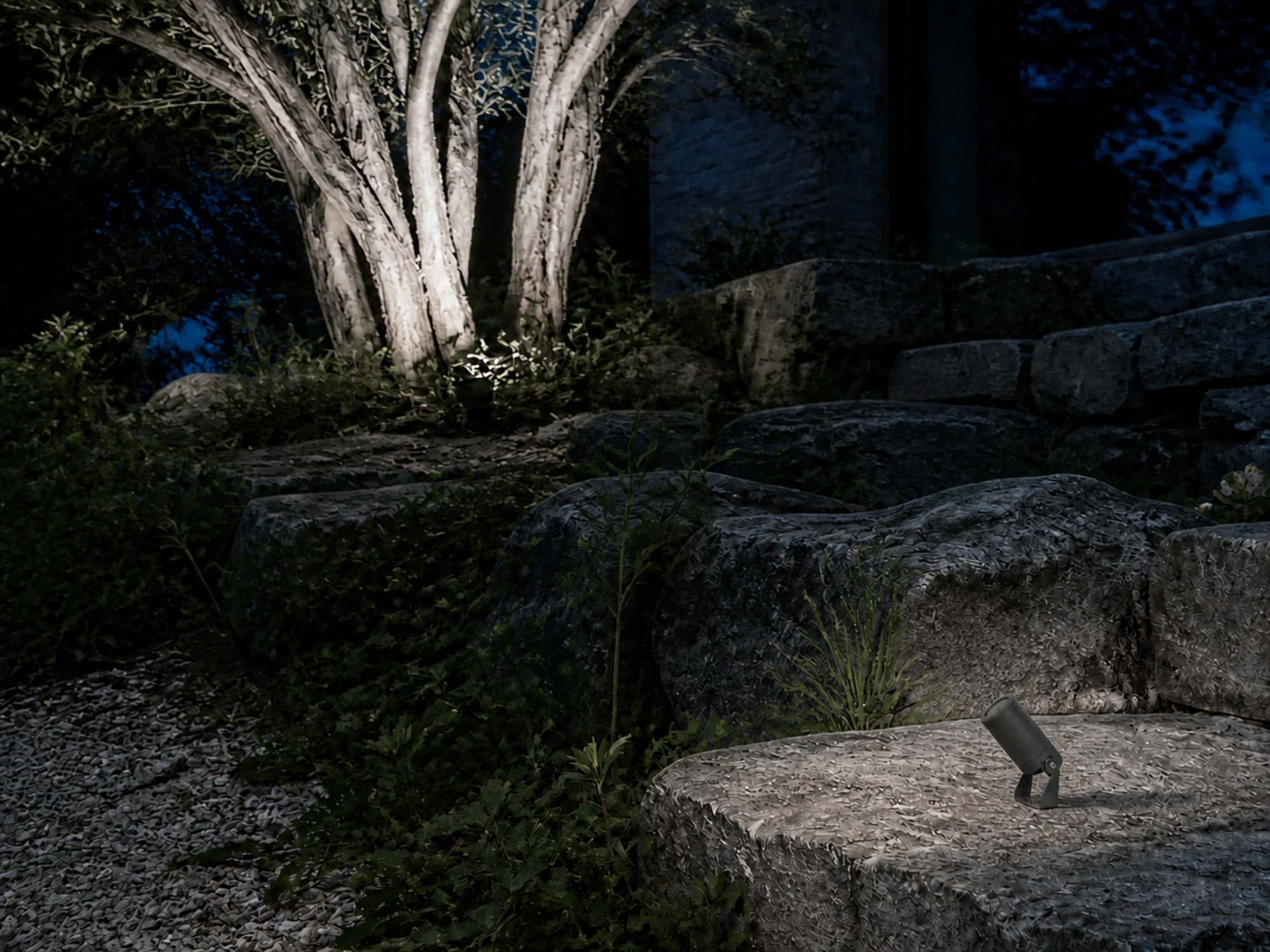 PJ04-8W projector illuminating a mature tree