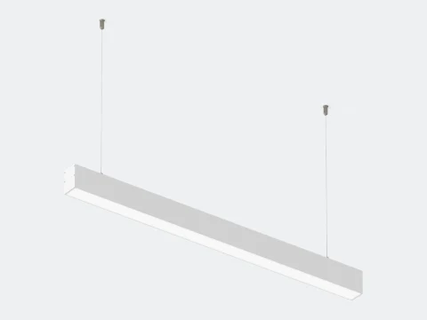 L2
