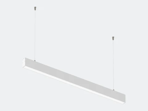 L1